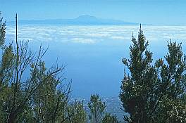 Teide