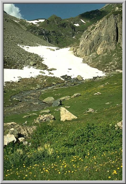 Wanderweg zum Gipfel des Ferdenrothorn, Frühling im Juli