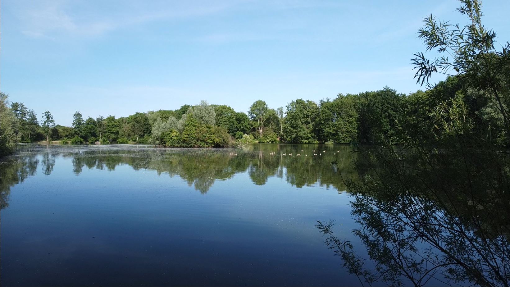 Drohnenflug über den Quellenteich